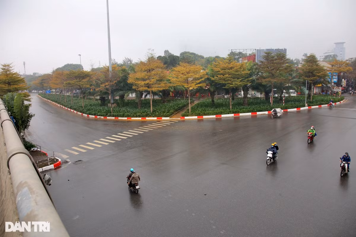 Đoạn ngã tư Cầu Giấy, cây được trồng nhiều trên đảo giao thông.