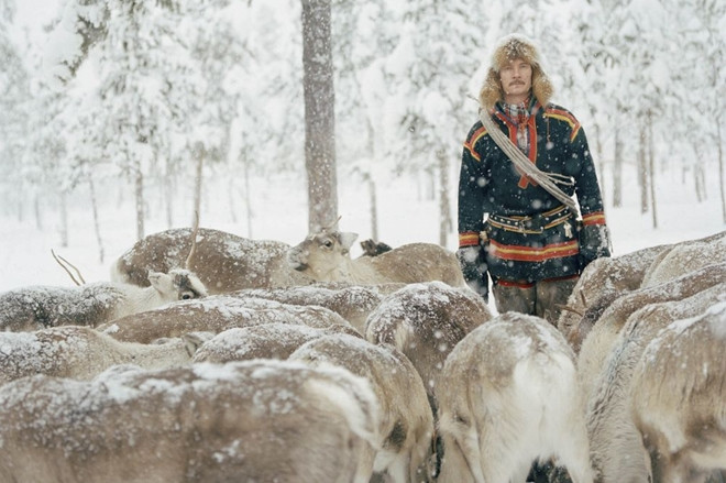 4. Khám phá văn hóa Sámi: Sámi là dân tộc bản địa duy nhất tại Scandinavia được công nhận và bảo hộ dưới hiệp định quốc tế về người bản xứ của Liên minh châu Âu. Họ chủ yếu sống tại Bắc Phần Lan, Na Uy, Thụy Điển và một phần của Tây Bắc nước Nga. Tại Lapland, người Sámi chăn nuôi tuần lộc để lấy thịt, lông và sừng dùng làm đồ thủ công mỹ nghệ. Theo lịch của người Sami, một năm được chia ra làm tám mùa giống như vòng đời của tuần lộc. Đây là một trong những bộ tộc đoàn kết có nét đặc trưng rất riêng trên thế giới và ít bị đồng hóa.