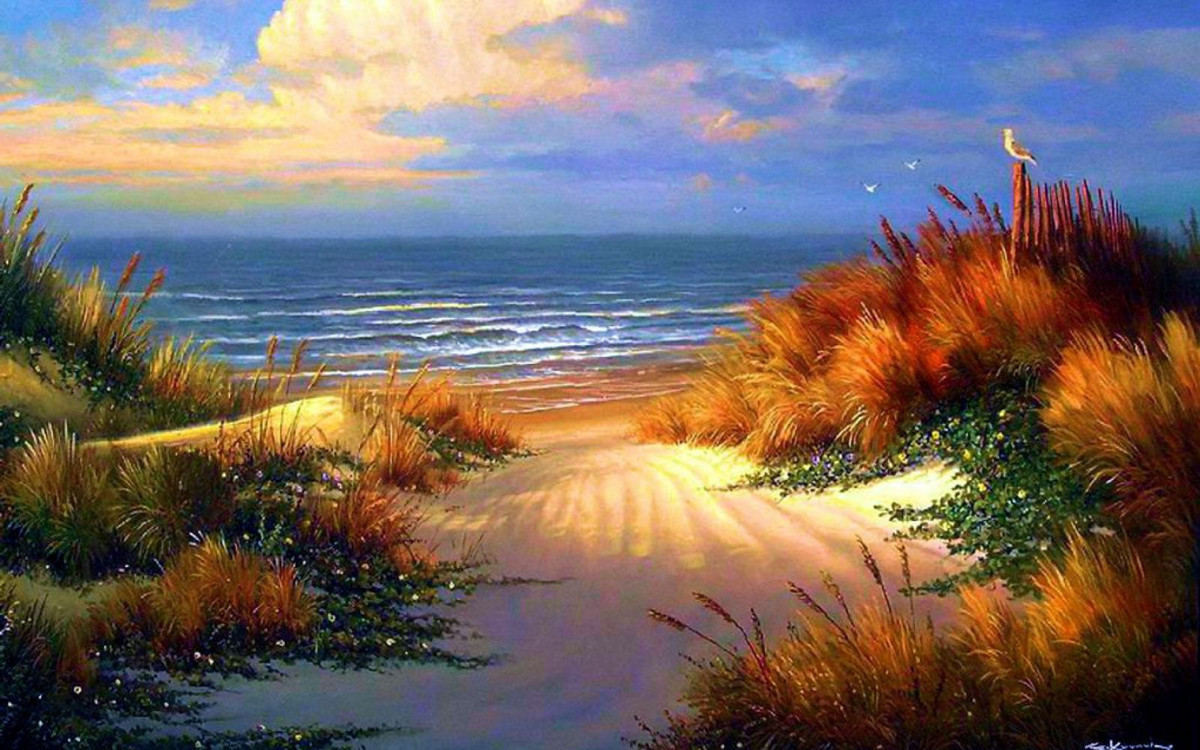 3. Volusia County:Vùng đất ven biển này là nơi xảy ra nhiều cuộc cá mập tấn công được ghi nhận nhiều hơn bất kỳ nơi nào khác trên trái đất. Vâng. Nghe có vẻ điên rồ phải không nào? Nhưng vùng biển này được xem là trung tâm của cá mập.