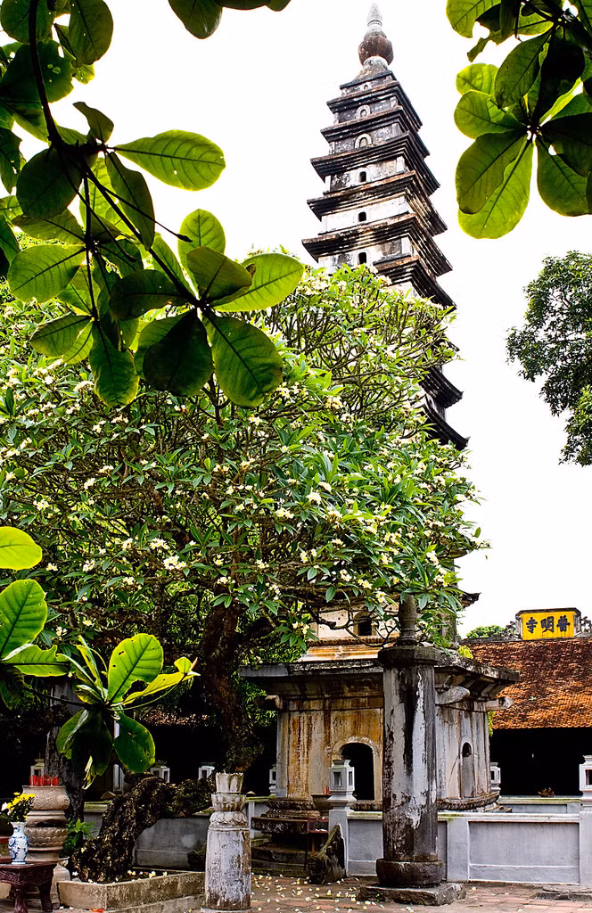 Hình ảnh trên tờ 100 đồng là tháp tại chùa Phổ Minh (thôn Tức Mặc, Nam Định). Ngôi chùa này từng sở hữu chiếc vạc lớn – 1 trong 4 báu vật của Việt Nam (An Nam tứ đại khí).