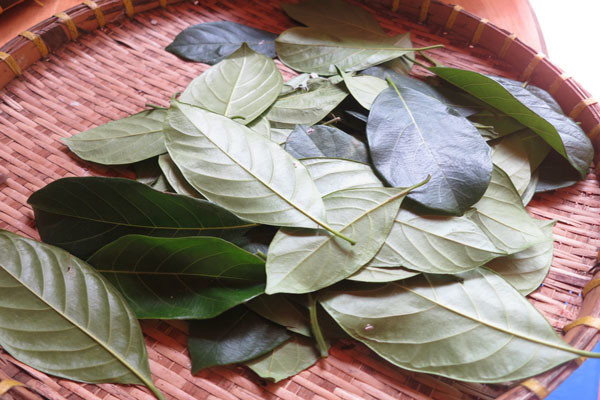 Su that ve mit ma it ai biet den-Hinh-4