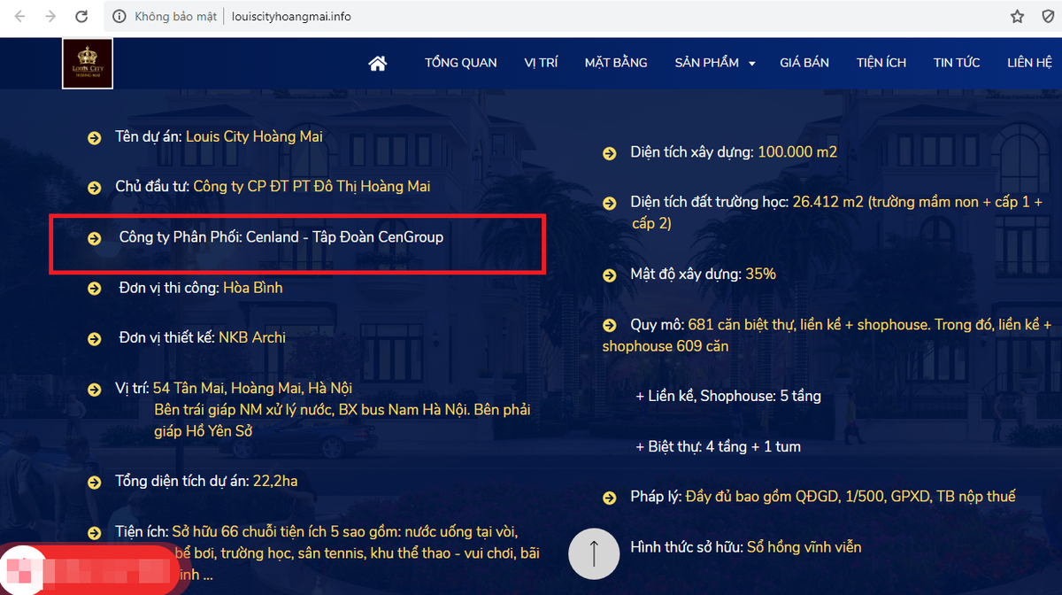 CenLand “bat tay” Cty con TD La Vong ban Louis City Hoang Mai tren bai dat trong?-Hinh-4