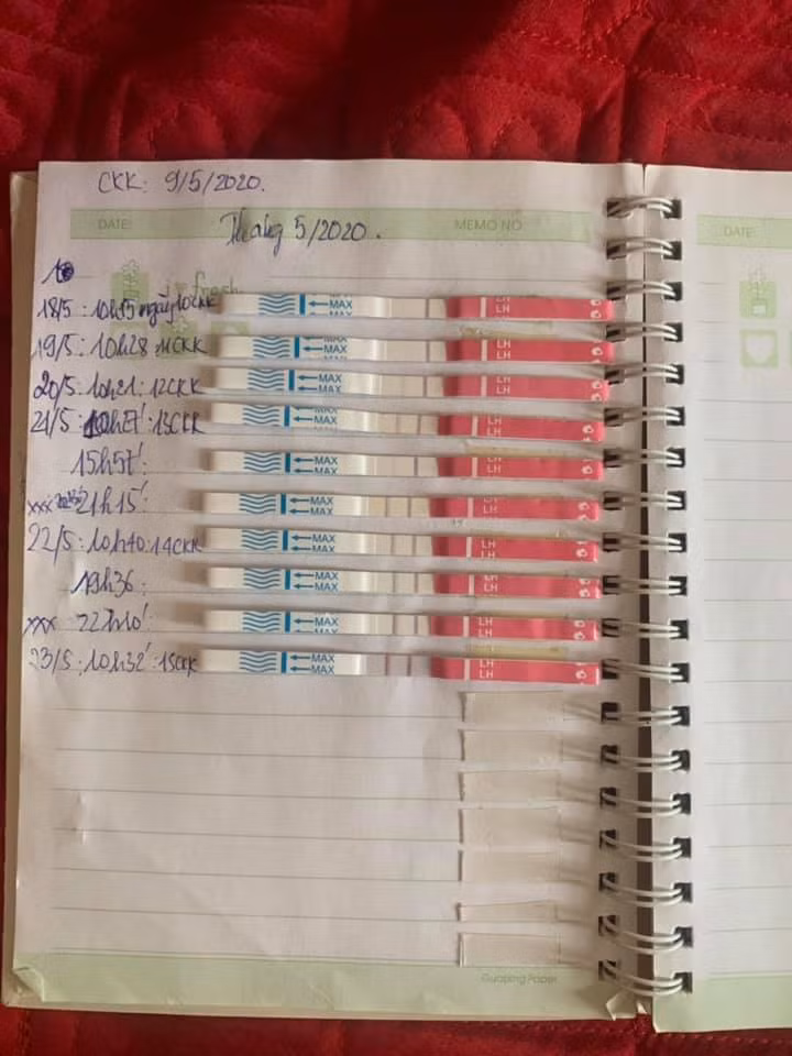 Nga ngua vi “bi kip” canh trung sinh quy tu-Hinh-2