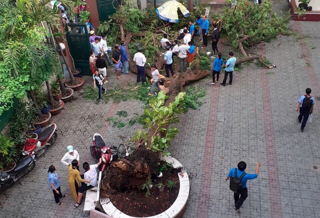 Cay do de hoc sinh tu vong: Canh giac nhung khong phan ung thai qua