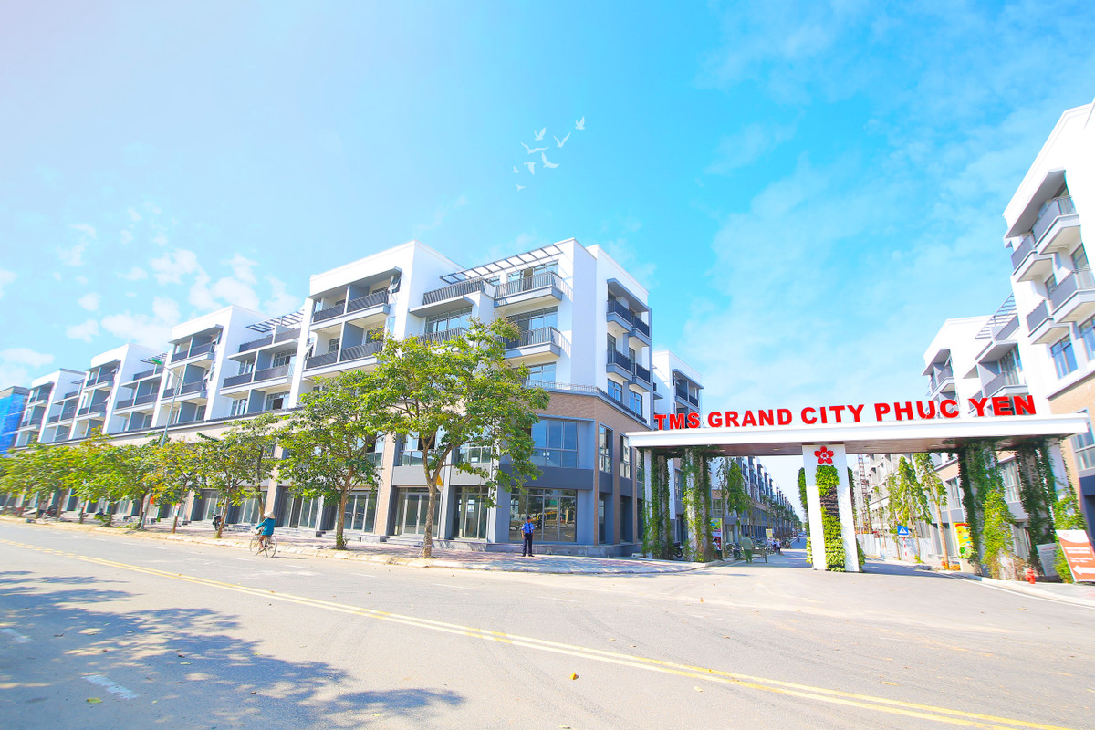 Khan hiem nguon cung bat dong san COVID-19-Hinh-2