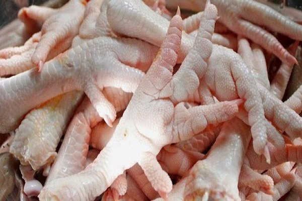 Meo chon chan ga sach tuoi ngon hap dan