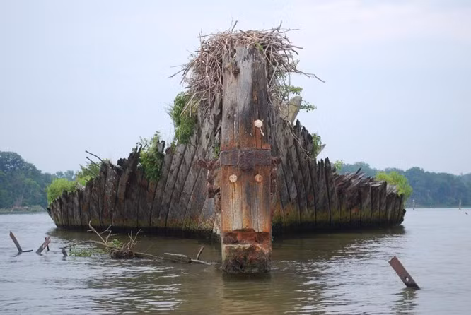  9. Đội tàu ma, Hoa Kỳ: Hàng chục chiếc tàu thuyền được gửi đến để phơi mình trên nghĩa địa tàu nổi tiếng tại Vịnh Mallow mỗi năm. Chúng trông giống như một đội tàu ma thững thời trôi xuyên qua mặt đất và từ từ biến mất dưới nước.