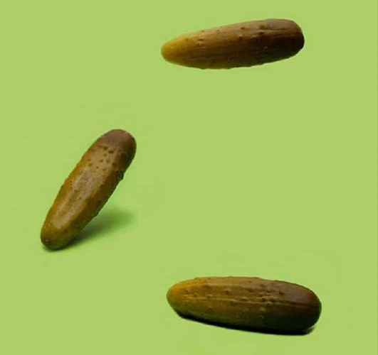 Ở Connecticut, dưa chua thực sự được coi là dưa chua khi chúng phải nảy tưng lên. Nếu không, chúng không phải dưa chua.