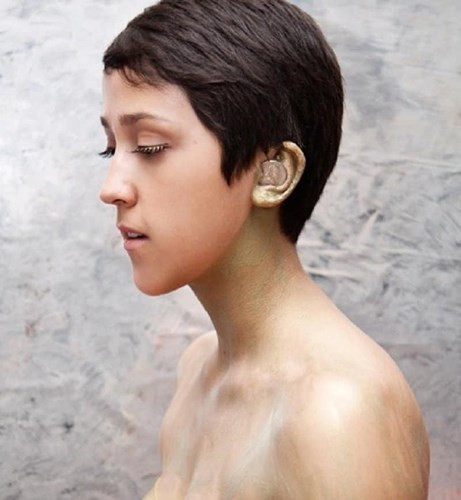 Ở Hawaii, bạn không được phép đặt đồng xu vào tai.