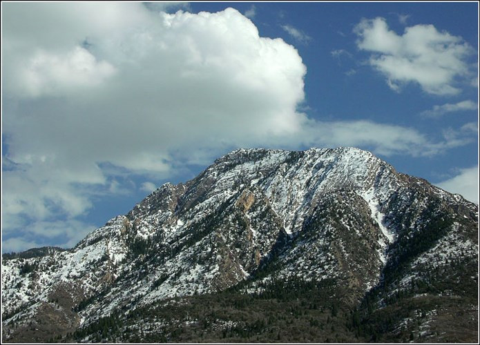 Độ đa dạng sinh học cao: Olympus có khoảng 52 đỉnh và một số hẻm núi sâu, được biết đến với độ đa dạng sinh học đặc biệt. Toàn bộ khu vực Olympus nằm trong khoảng 500 km2, với một khu vực hình tròn chu vi 80 km. Ảnh Seekraz.