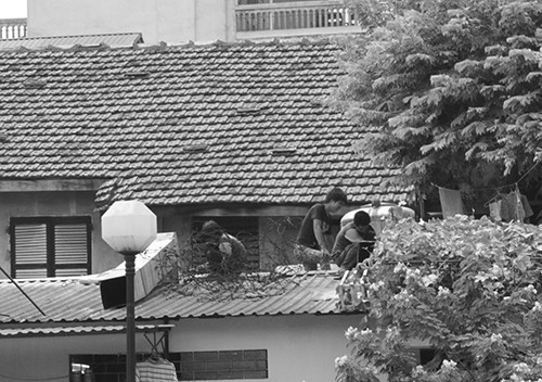 Chieu don gian, khong ton kem chong nong cho nha o