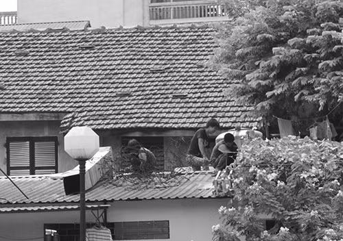 Chieu don gian, khong ton kem chong nong cho nha o