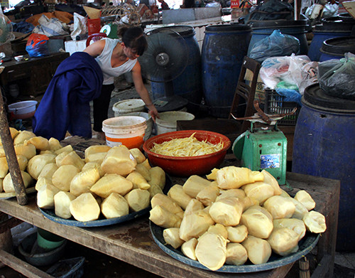 Mang tuoi 2 nam nho… hoa chat pha huy than