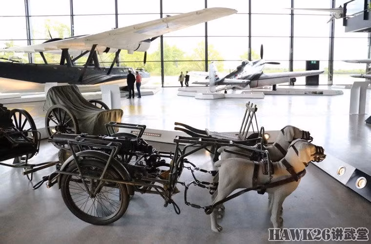 Thậm chí Hà Lan còn lắp cả súng máy Schwarzlose lên xe chó kéo.