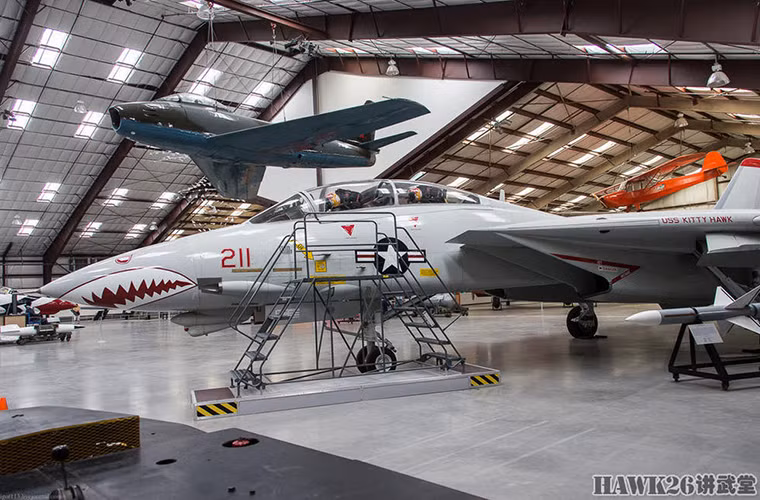 Về hệ thống vũ khí, F-14 có thể mang theo tối đa 6.6 tấn vũ khí các loại với 10 giá treo vũ khí ở dưới thân và cánh. Ngoài bom thông dụng và tên lửa không đối không, F-14 cũng là một những chiến đấu cơ đầu tiên của Mỹ được trang bị vũ khí dẫn đường chính xác như Joint Direct Attack Munition (JDAM) hay Paveway.