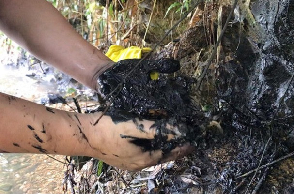 Nhin lai tham hoa moi truong chay nha may Rang Dong, nuoc song Da nhiem dau khien trieu dan Thu do “hoang loan”-Hinh-2