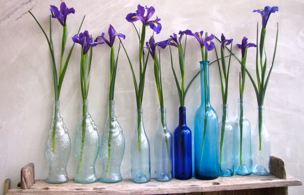 Đơn giản mà vô cùng ấn tượng.