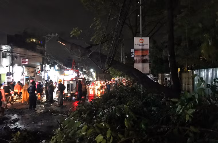 Một cây xanh khá lớn trên đường Võ Văn Ngân, quận Thủ Đức bật gốc ngã ra đường, đè lên hệ thống dây điện, cáp viễn thống... khiến nhiều nơi trên địa bàn bị mất điện.