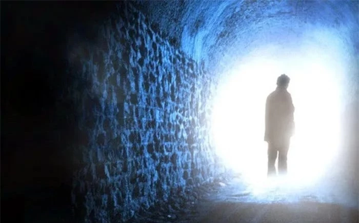 Ông đã viết nhiều tác phẩm xoay quanh chủ đề hồi quy tiền kiếp và kiếp trước, với những bằng chứng được lấy từ trải nghiệm thực tế của bệnh nhân.