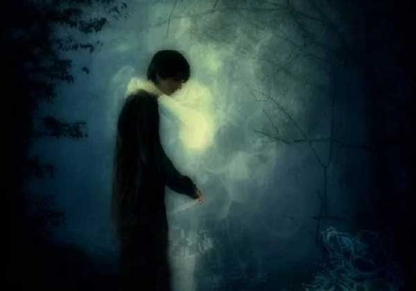 Những câu chuyện này không chỉ là bằng chứng cho sự tồn tại của kiếp trước mà còn đề cập đến mối quan hệ đặc biệt và yêu thương kéo dài qua nhiều kiếp sống.