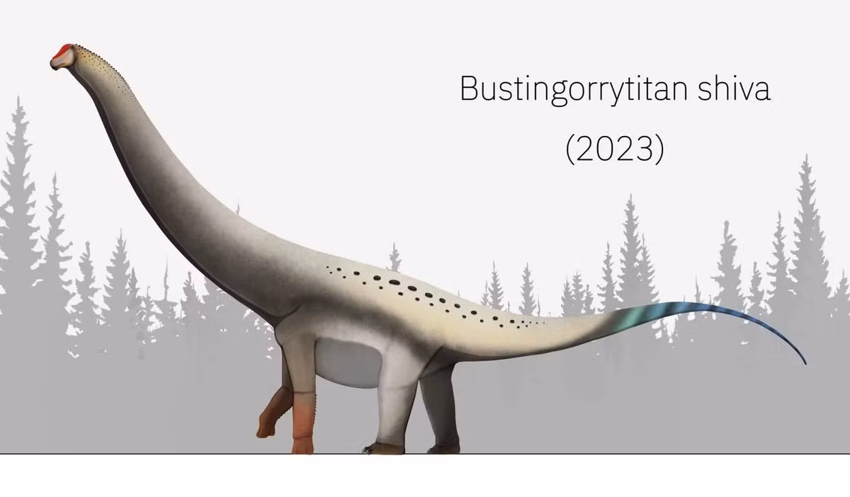 Nghiên cứu chi tiết vừa được công bố trên tạp chí Acta Palaeontologica Polonica cho biết, loài mới này có trọng lượng trung bình khoảng 67,3 tấn khi còn sống, là một trong những loài to nhất trong nhóm thằn lằn hộ pháp.