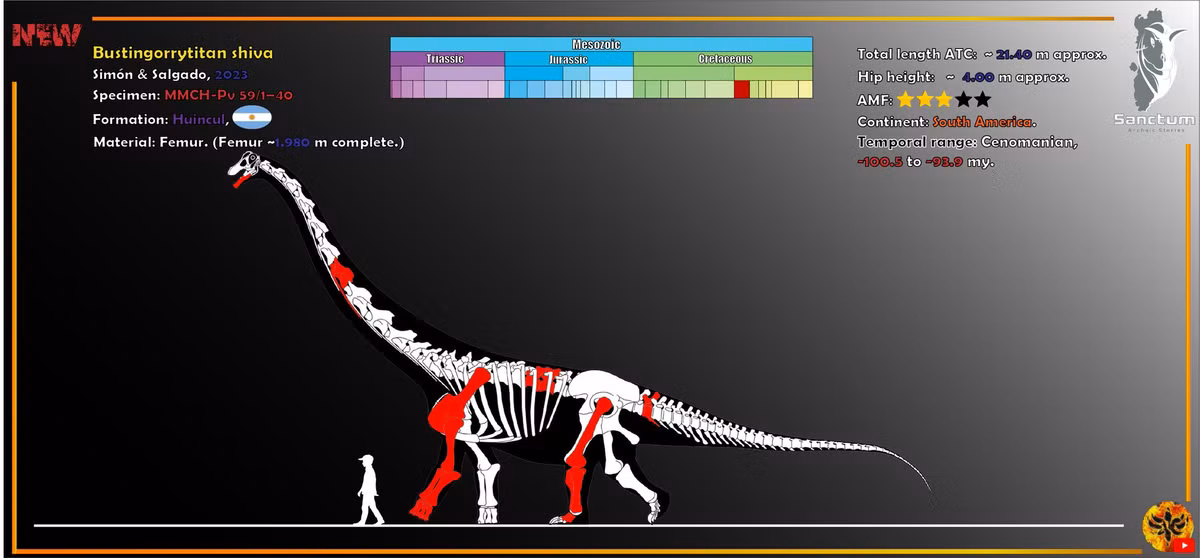 Hai nhà cổ sinh vật học María Edith Simón và Leonardo Salgado từ Đại học Quốc gia Rio Negro-Conicet (Argentina) là tác giả của nghiên cứu này.