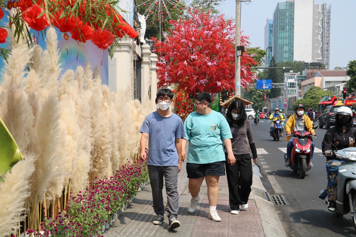 Con đường hoa lau kết hợp với hoa cúc trải dài trên đường Nguyễn Thị Minh Khai thu hút sự chú ý của nhiều người đi đường.