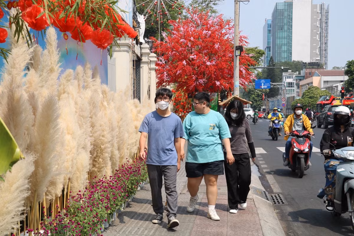 Con đường hoa lau kết hợp với hoa cúc trải dài trên đường Nguyễn Thị Minh Khai thu hút sự chú ý của nhiều người đi đường.