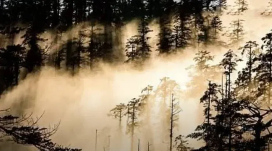 2. Hồ Mê Hồn - mê cung một đi không trở lại: Nằm ở Tứ Xuyên, được mệnh danh là nơi một khi vào sẽ không trở lại được.