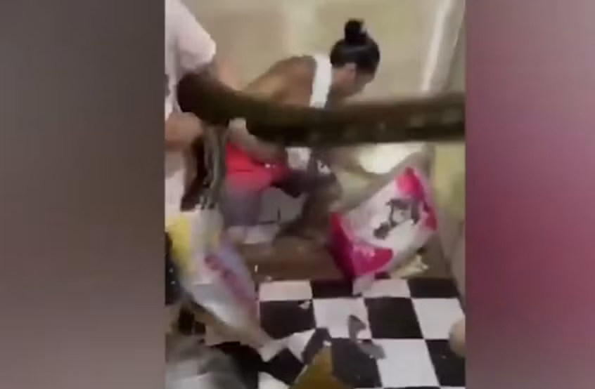 Mọi người đã vật lộn với con trăn đáng sợ, sau khi bắt được họ quyết định mang nó đến khu rừng gần đó để thả tự do. Rất may, không có ai bị thương.