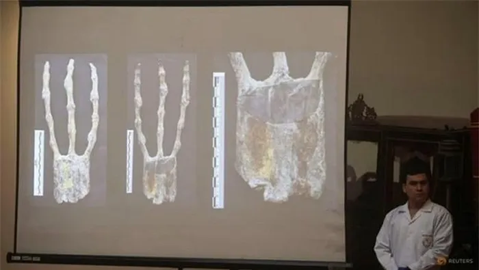 Sau nghiên cứu và phân tích, các chuyên gia khẳng định, đó chỉ là 2 hình nộm hình người được làm từ xương động vật và được gắn lại bằng keo tổng hợp.