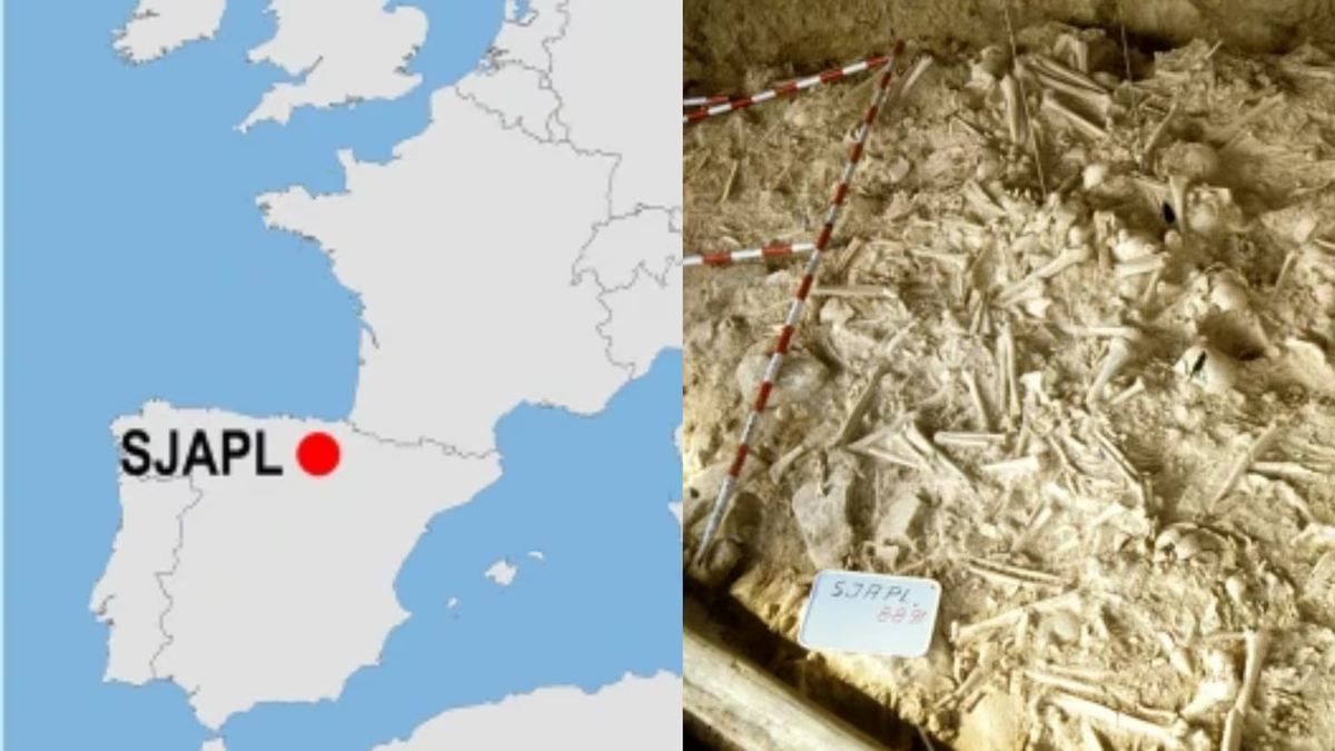 Tổng thể, 97,6% nam giới và người trưởng thành có vết thương chưa lành và 81,7% vết thương đã lành.