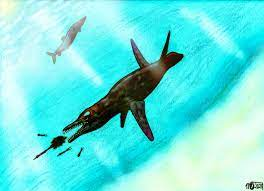 Mắt lớn của nó có cấu trúc giống mi mắt, giúp che bớt ánh nắng khi săn mồi.