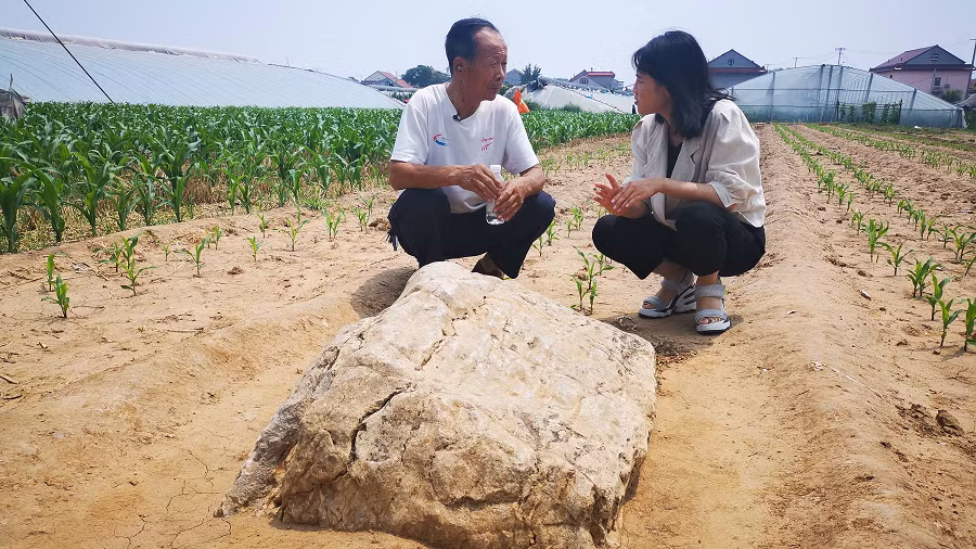 Người dân địa phương coi trọng núi Tĩnh và xem nó như một biểu tượng, thu hút du khách.