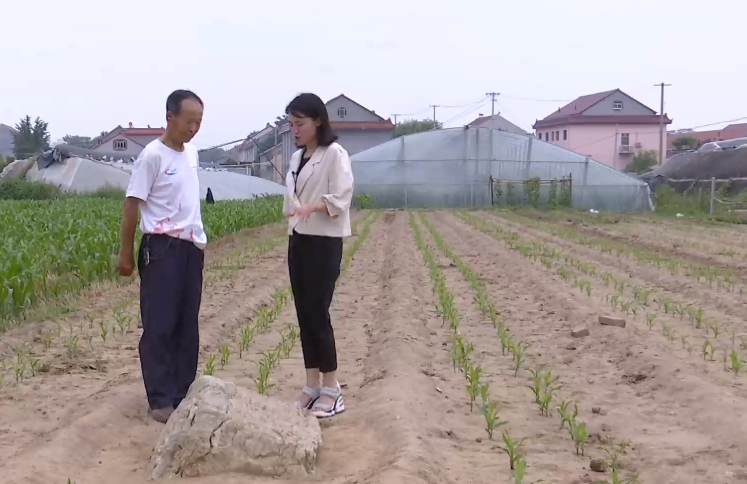 Chính quyền địa phương đã đưa ra biện pháp bảo tồn ngọn núi nhỏ nhất ở Trung Quốc này như cấm khai quật, xây dựng công trình xung quanh và đập núi để lấy đá.