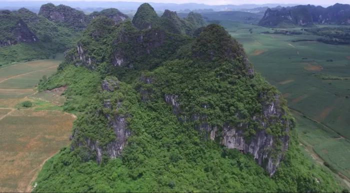 Nghiên cứu mới đã khám phá 22 hang động ở Trung Quốc, nơi được cho là môi trường sống của Gigantopithecus blacki.