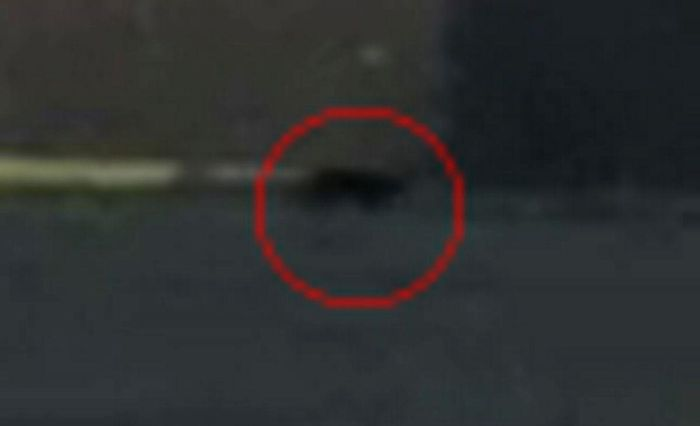 Hình ảnh của quái thú bí ẩn này đang rình rập trên cánh đồng đã gây nhiều lo ngại trong cư dân.