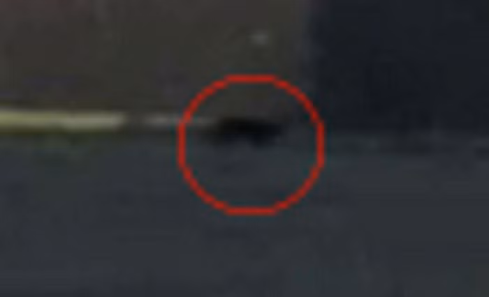 Hình ảnh của quái thú bí ẩn này đang rình rập trên cánh đồng đã gây nhiều lo ngại trong cư dân.