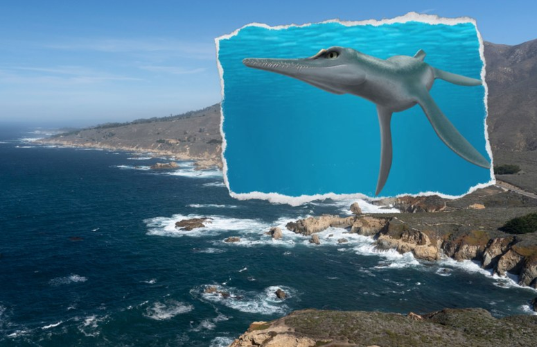 Cách đây không lâu, một loài quái thú đầu cá sấu, mình cá heo đã được phát hiện tại Mỹ, sống cách đây khoảng 80 triệu năm.