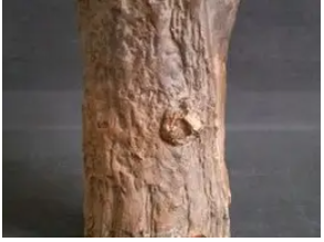 Một đoàn khảo cổ đến làng của bà để tìm cổ vật và phát hiện ra rằng, khúc gỗ này thực sự là một báu vật, một ống đựng bút được làm từ gỗ cây mơ.