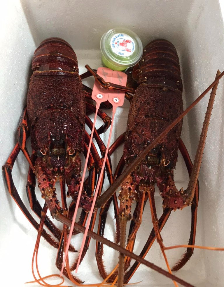 Chi hơn 500 triệu USD nhập khẩu, tôm hùm ngoại la liệt chợ Việt - Hình 2 Chi hon 500 trieu USD nhap khau, tom hum ngoai la liet cho Viet-Hinh-2