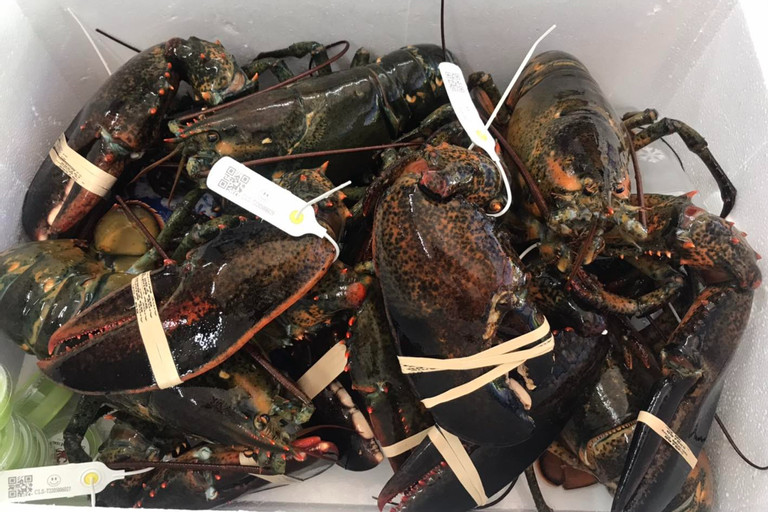 Chi hơn 500 triệu USD nhập khẩu, tôm hùm ngoại la liệt chợ Việt Chi hon 500 trieu USD nhap khau, tom hum ngoai la liet cho Viet