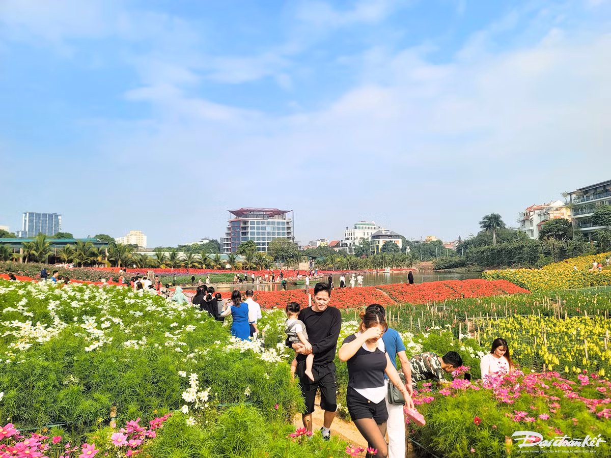 Thung lung hoa Ho Tay hut du khach 'check in' trong ngay Tet Duong lich-Hinh-2