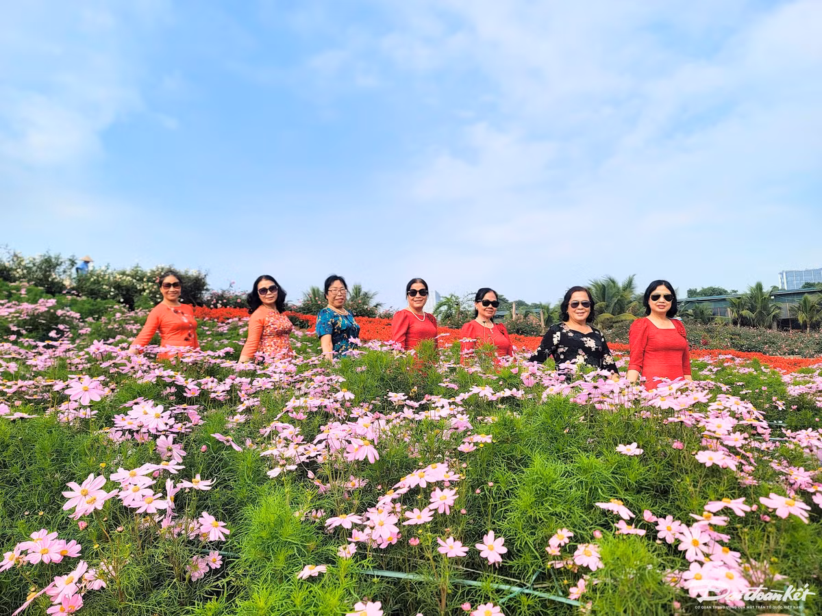 Thung lung hoa Ho Tay hut du khach 'check in' trong ngay Tet Duong lich-Hinh-8