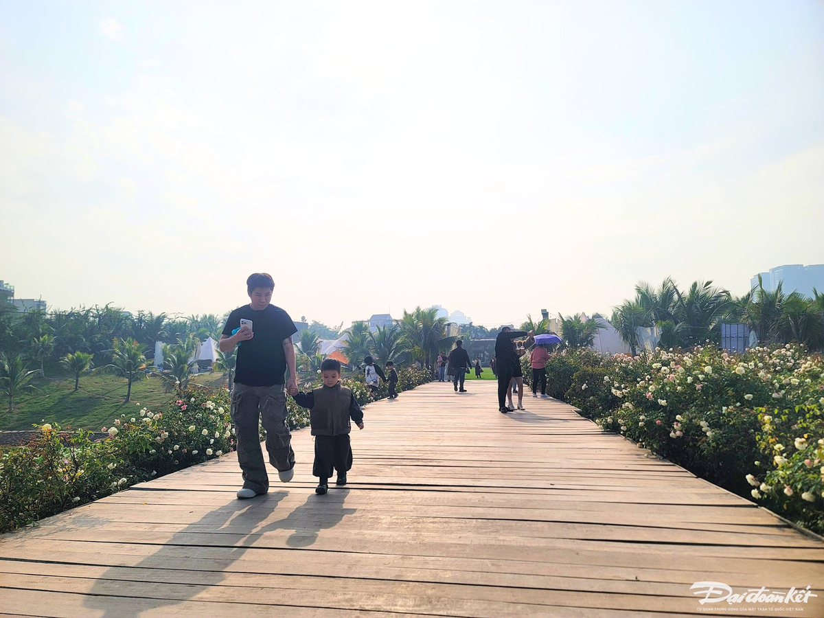 Nhiều em nhỏ thích thú khi được bố mẹ dẫn đến tham quan thung lũng hoa Hồ Tây. Cứ vào dịp cuối năm thung lũng hoa Hồ Tây lại trở thành nơi thu hút đông đảo du khách. Đây vốn dĩ là một đầm sen rộng lớn, sau đó đã được cải tạo rồi trở thành một vườn hoa khoe sắc để phục vụ nhu cầu tham quan và chụp ảnh.