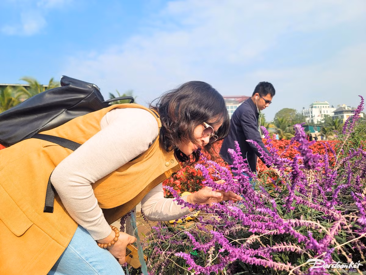 Thung lung hoa Ho Tay hut du khach 'check in' trong ngay Tet Duong lich-Hinh-12