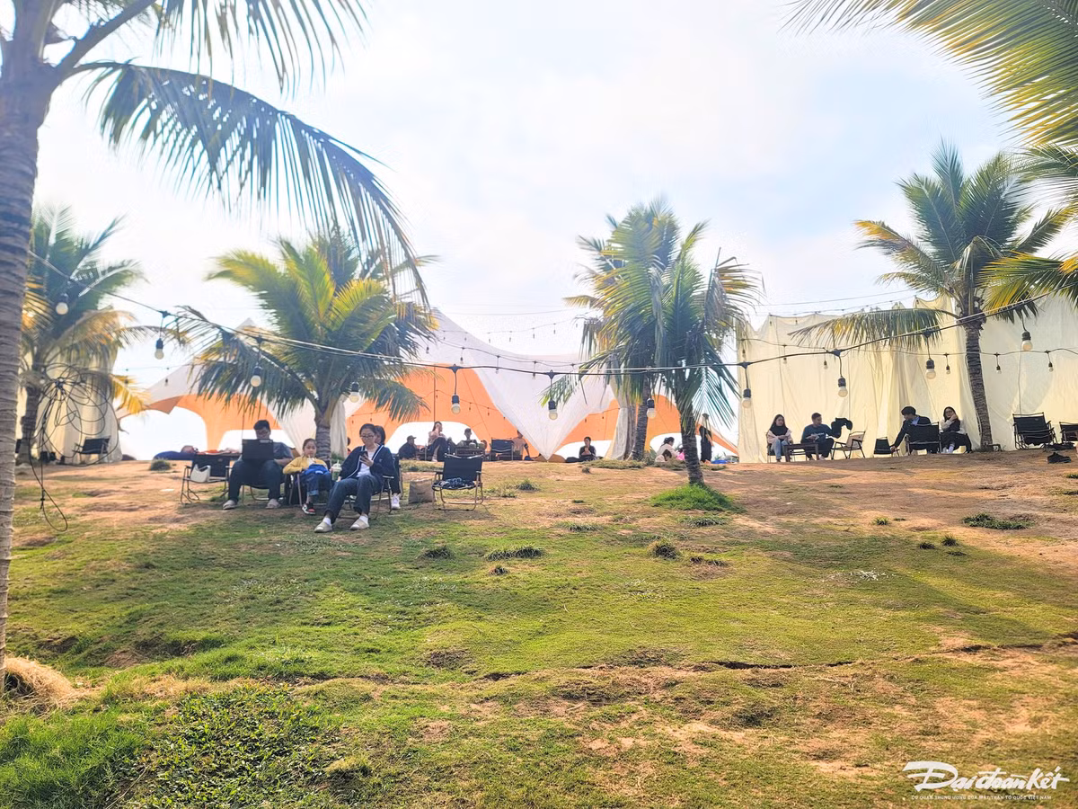 Thung lung hoa Ho Tay hut du khach 'check in' trong ngay Tet Duong lich-Hinh-3