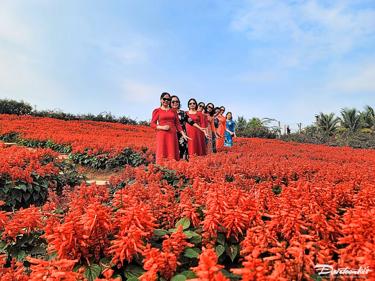 Thung lung hoa Ho Tay hut du khach 'check in' trong ngay Tet Duong lich-Hinh-7