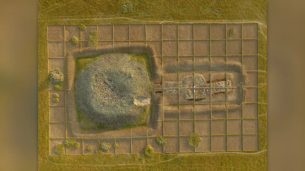 Có khả năng vị quý tộc này thuộc gia tộc Ashina, một bộ lạc lẫy lừng của Đột Quyết, mà gia tộc này đã đặt nền móng cho hai hãn quốc Turk ở trung tâm thảo nguyên Á - Âu từ thế kỷ V đến thế kỷ VIII sau Công nguyên, cho đến khi bị chinh phục bởi một bộ lạc Turk khác, sau này trở thành người Duy Ngô Nhĩ.