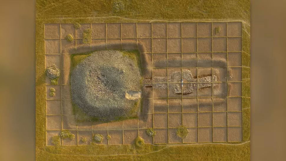 Có khả năng vị quý tộc này thuộc gia tộc Ashina, một bộ lạc lẫy lừng của Đột Quyết, mà gia tộc này đã đặt nền móng cho hai hãn quốc Turk ở trung tâm thảo nguyên Á - Âu từ thế kỷ V đến thế kỷ VIII sau Công nguyên, cho đến khi bị chinh phục bởi một bộ lạc Turk khác, sau này trở thành người Duy Ngô Nhĩ.